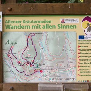 Pharmakobotanische Exkursion in der Steiermark | Mitglied