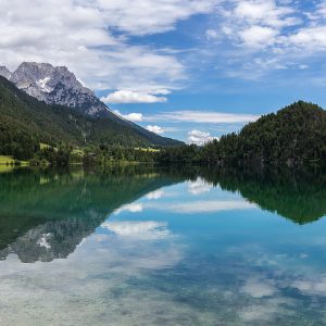 Pharmakobotanische Exkursion in Tirol - Scheffau am Wilden Kaiser 2024 | Nicht-Mitglied
