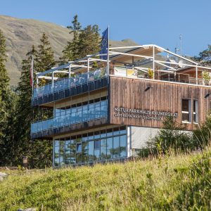 Pharmakobotanische Exkursion in Tirol - Kaunergrat 2024 | Mitglied