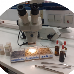 Kinderdetektive von 7-10 Jahren aufgepasst: Den Arzneipflanzen auf der Spur! 25. Mai 2025