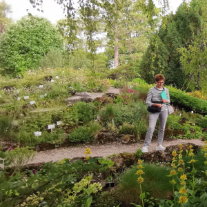 Pharmakobotanische Exkursion im Botanischen Garten der Universität Wien – 23. Mai 2025 | Nicht-Mitglied