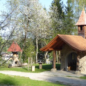 Pharmakobotanische Exkursion in Kärnten | Nicht-Mitglied