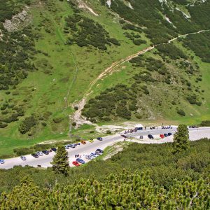 Pharmakobotanische Exkursion in Tirol - Hahntennjoch 20. Juni 2026 | Mitglied
